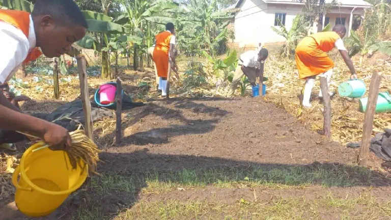 Volunteer doing administrative work