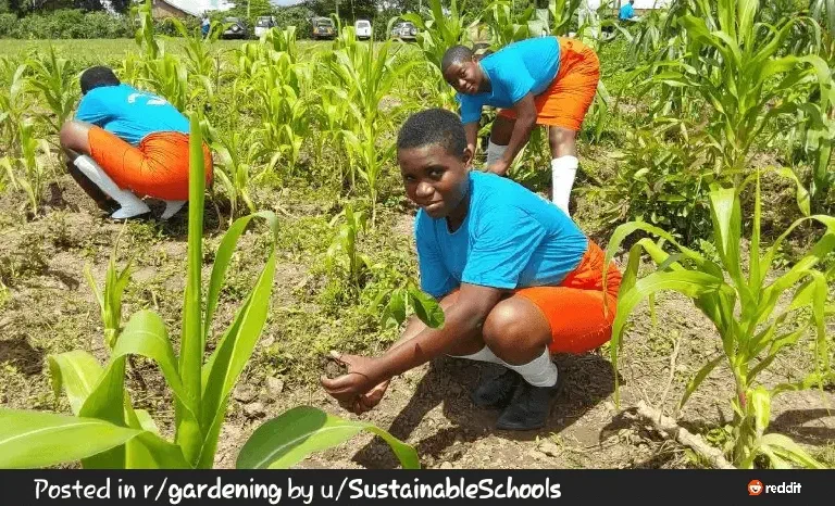 Students and teachers in an environmental education workshop